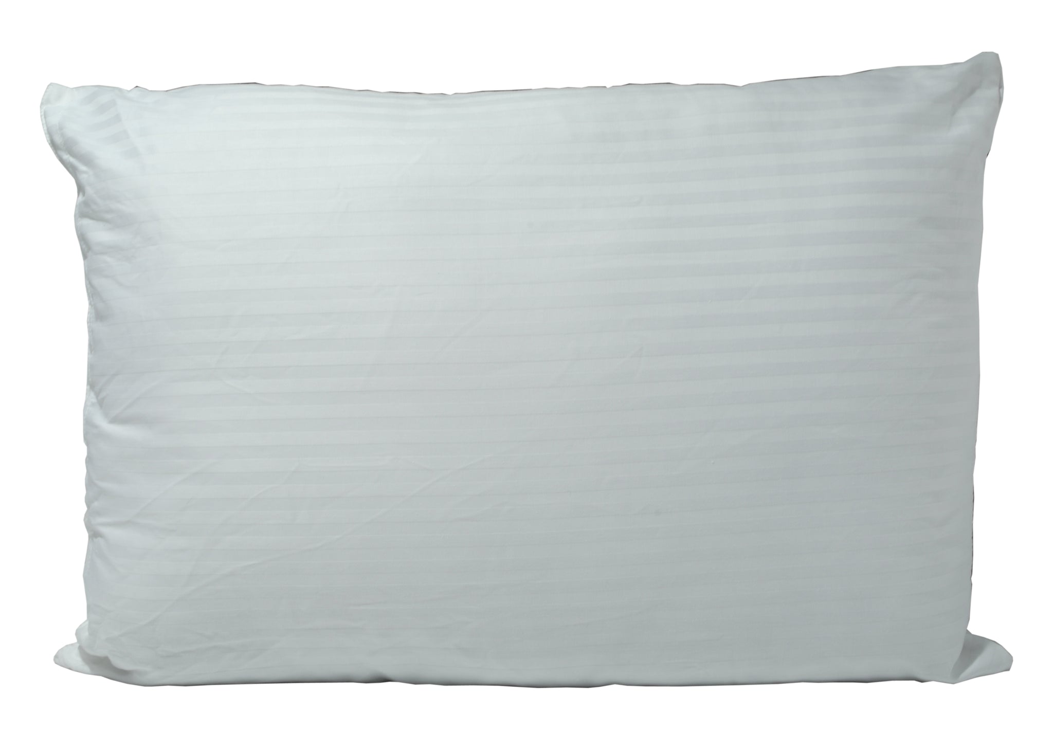 Sarah Jayne Ultrabounce Cotton Cover Pillow Pair